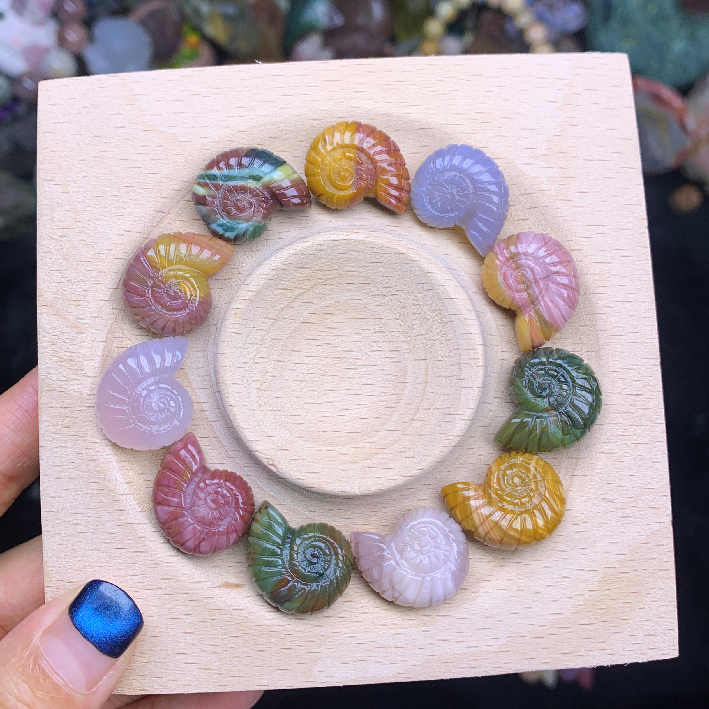 Alashan Agate Conch