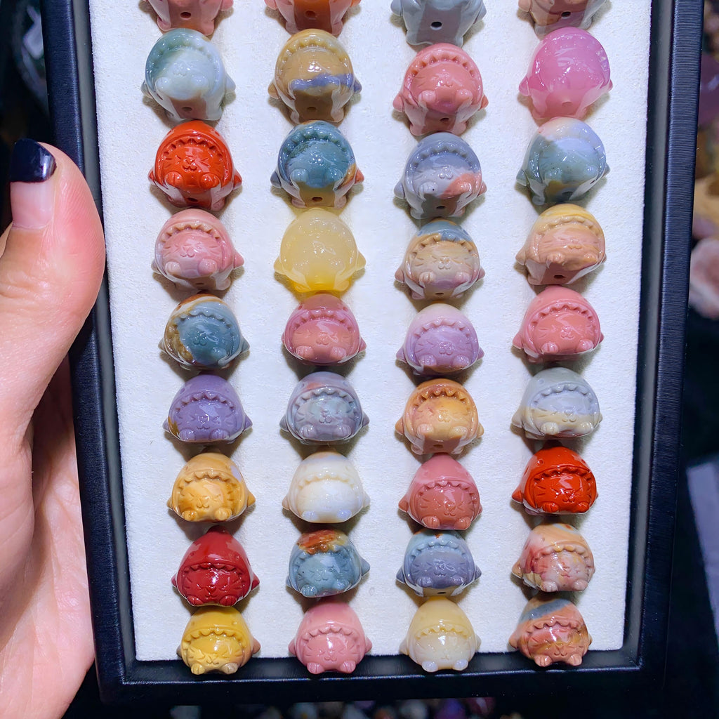 【5PCS】Alashan Agate Shark Kitty