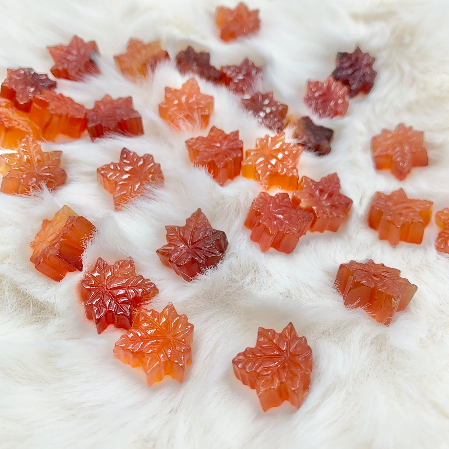 【Alashan Agate】Jelly Maple