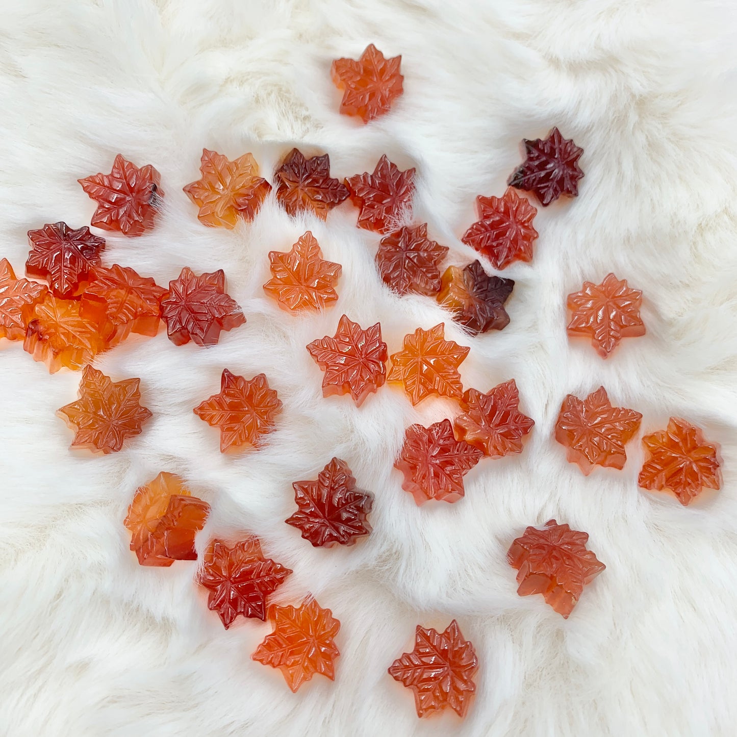 【Alashan Agate】Jelly Maple