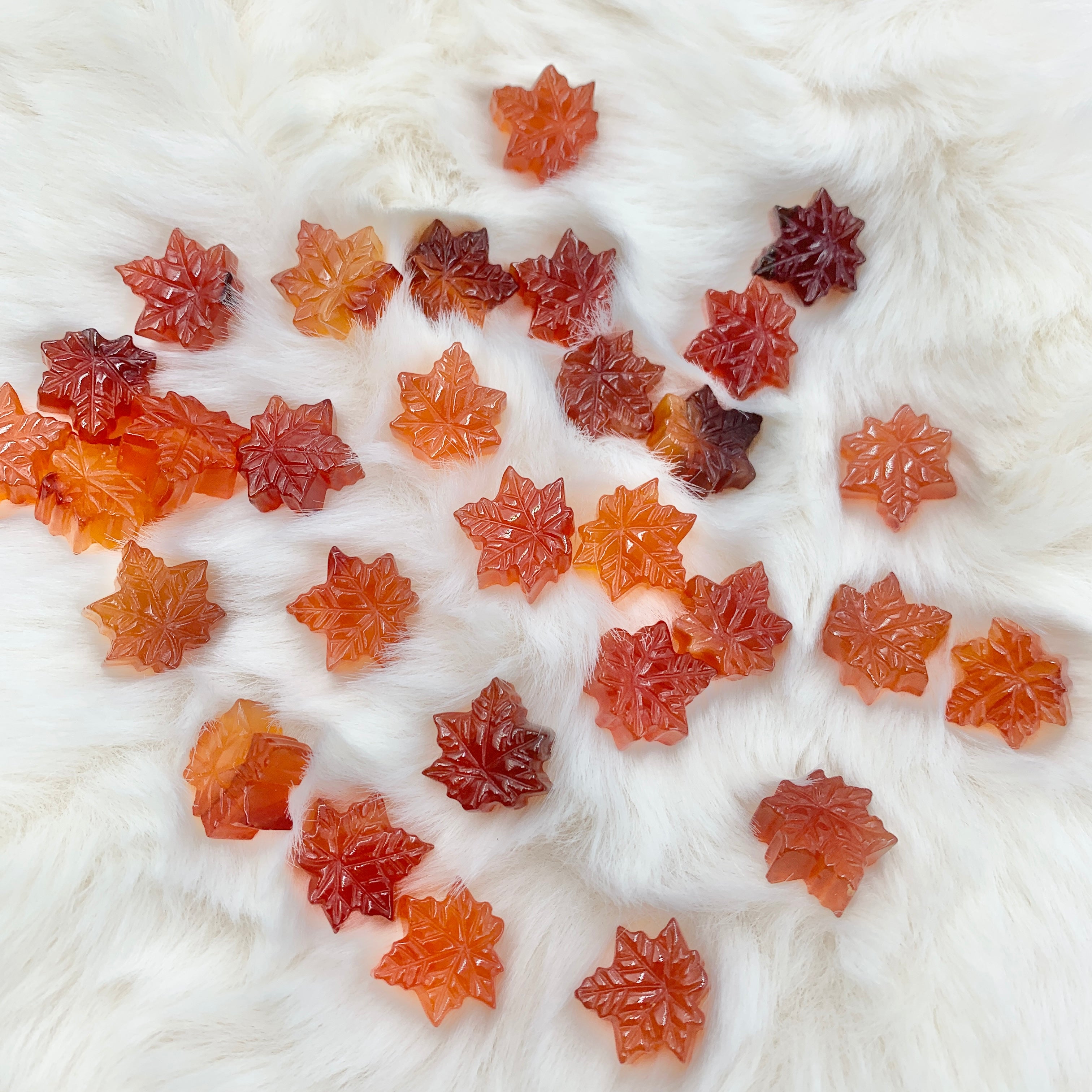 【Alashan Agate】Jelly Maple