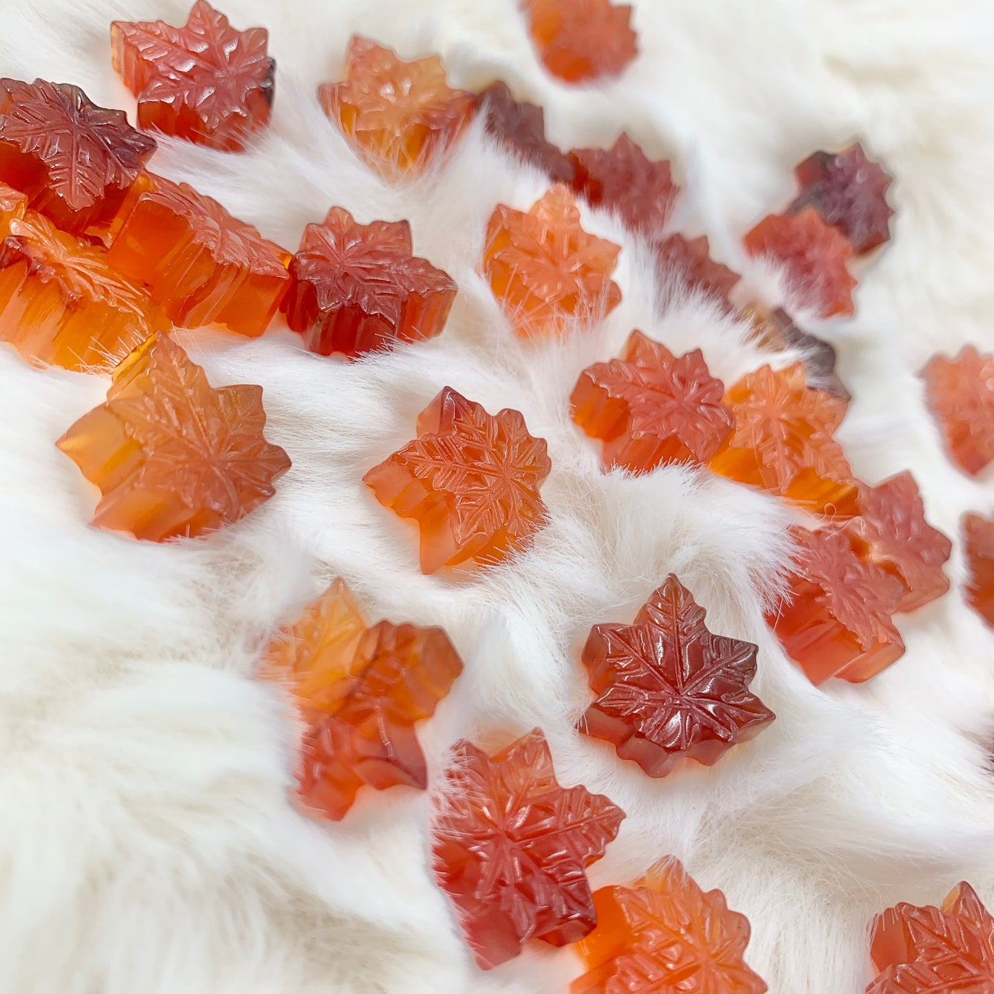 【Alashan Agate】Jelly Maple