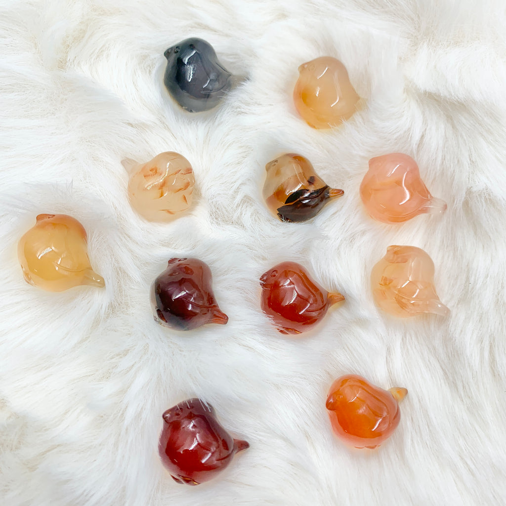 【Alashan Agate】 jelly birds
