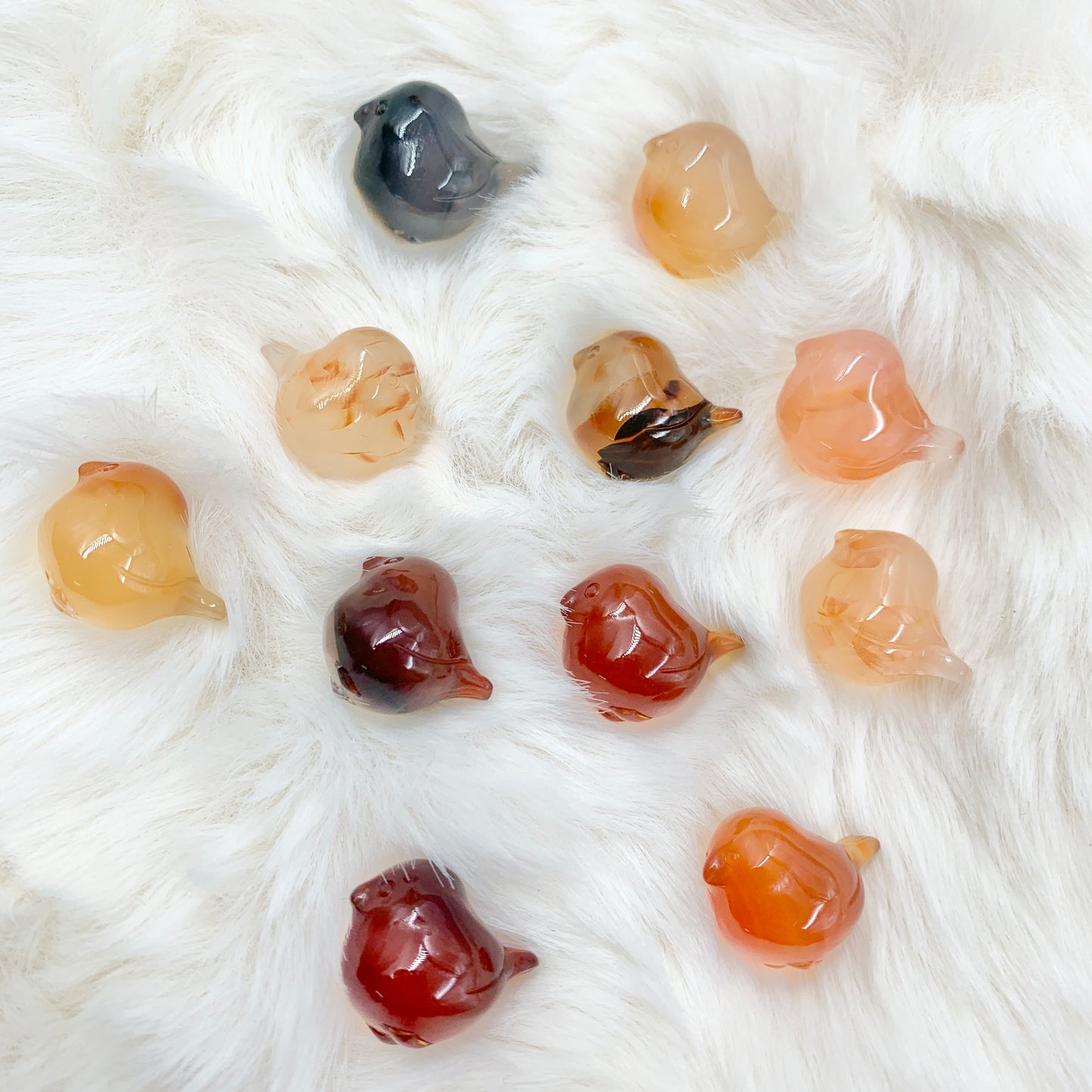 【Alashan Agate】 jelly birds