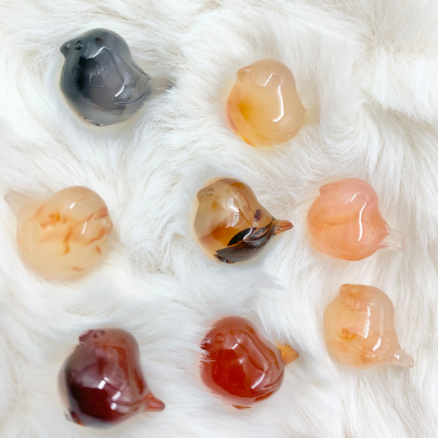 【Alashan Agate】 jelly birds