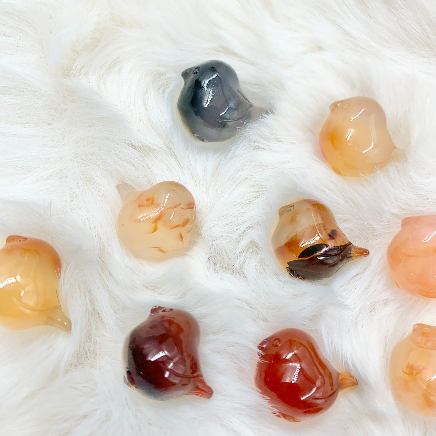 【Alashan Agate】 jelly birds