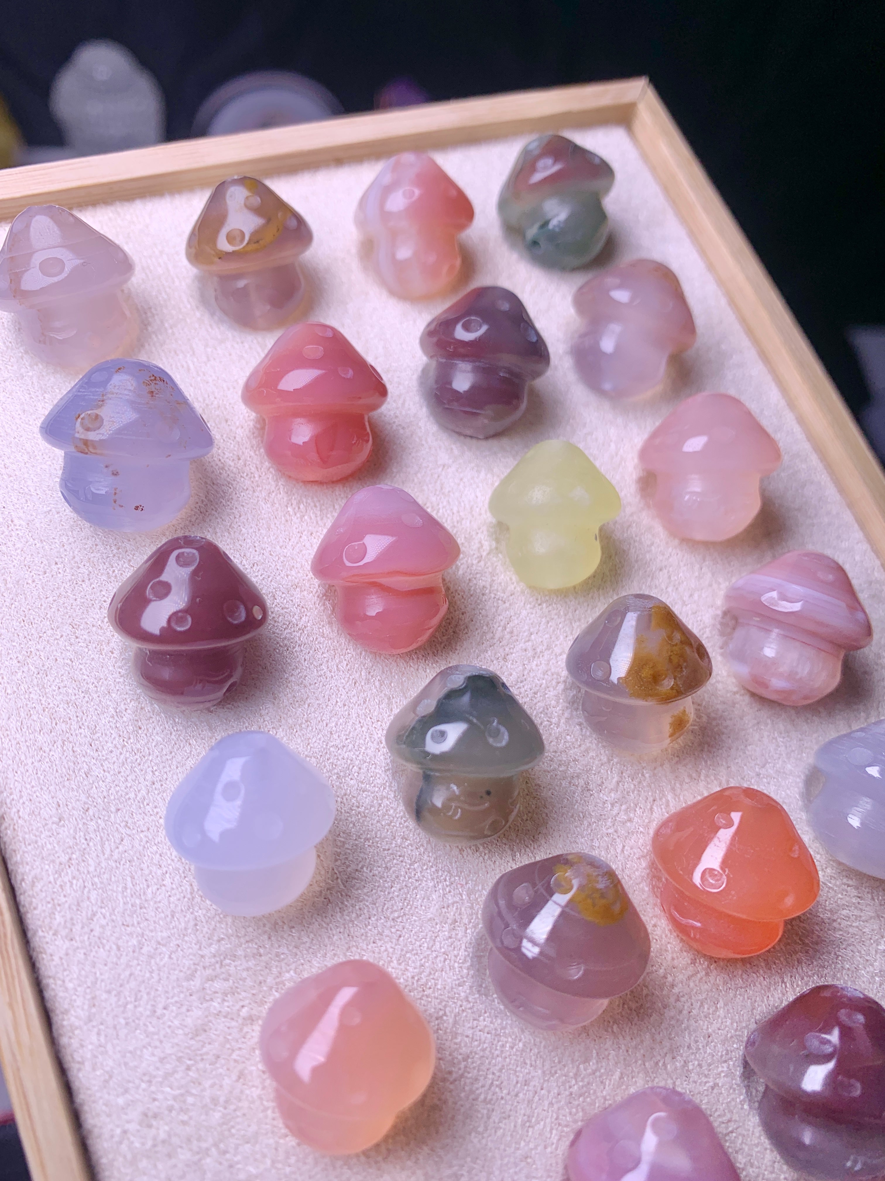 【Agate d'Alashan】 Champignon en gelée