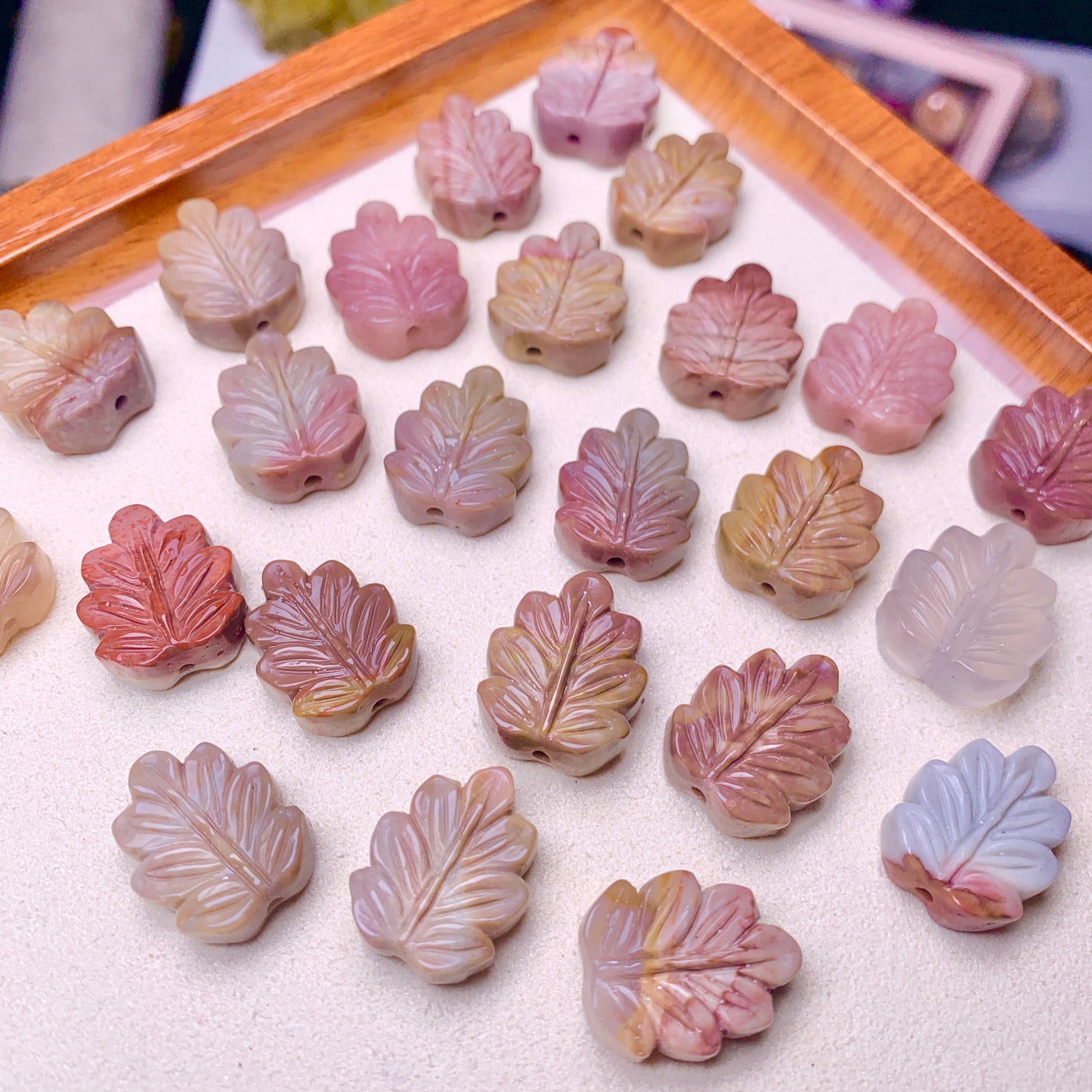 【Alashan Agate】  leaves