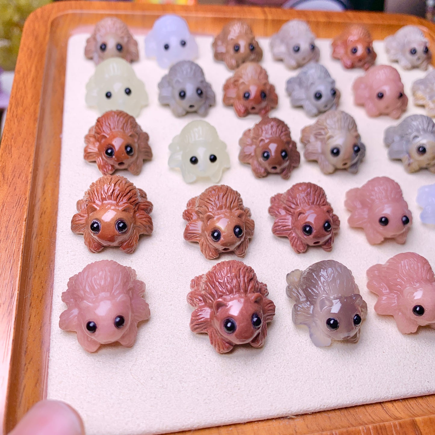 【Alashan Agate】  Halloween Spiders