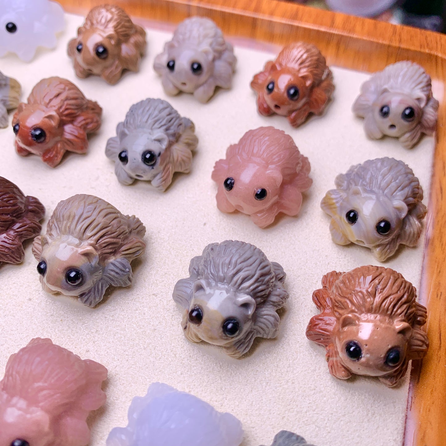 【Alashan Agate】  Halloween Spiders