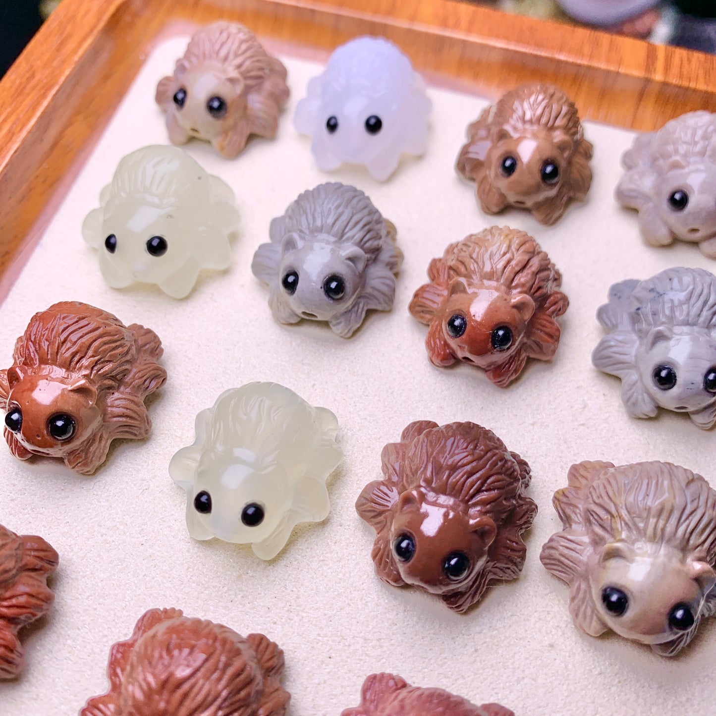 【Alashan Agate】  Halloween Spiders