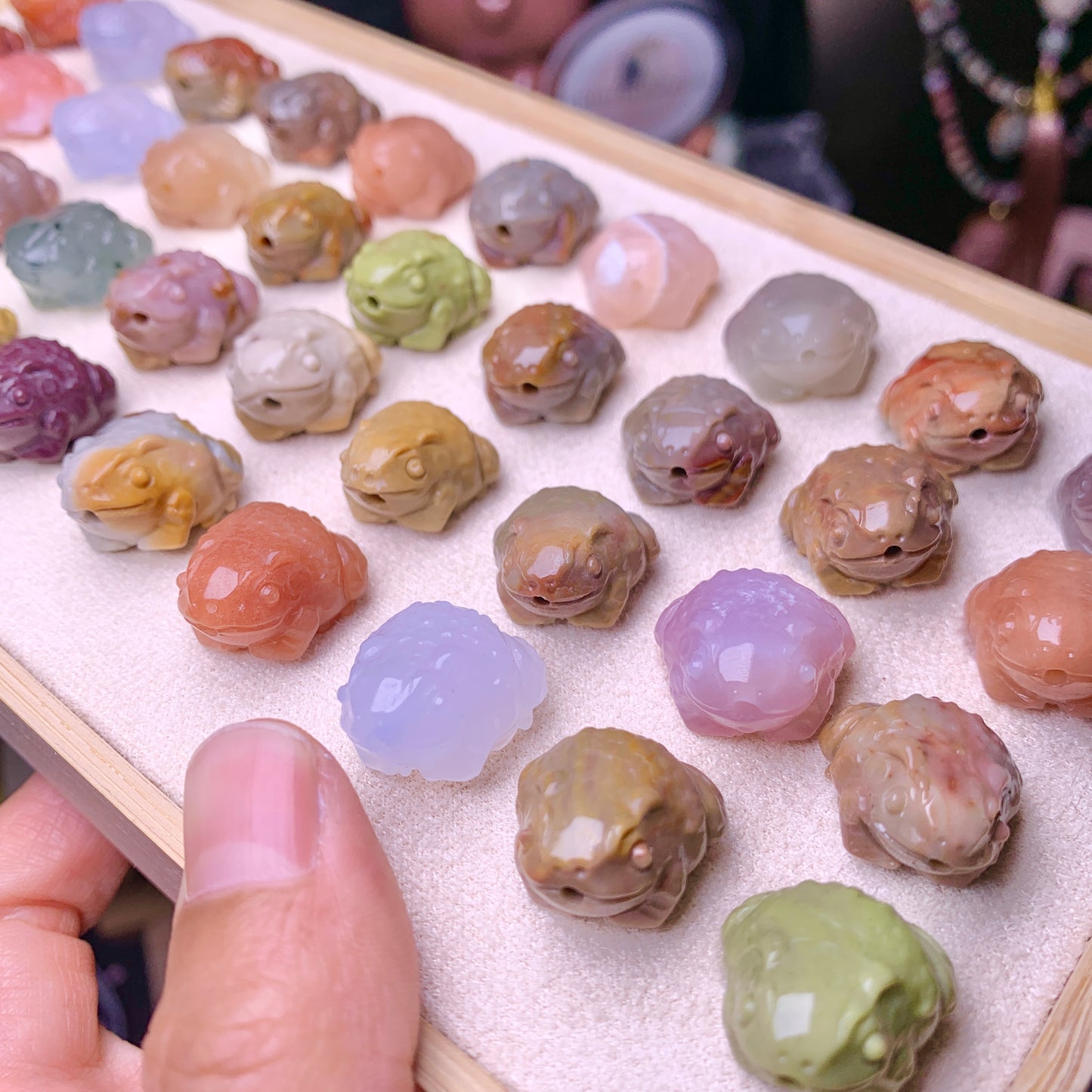 【Alashan Agate】     toad