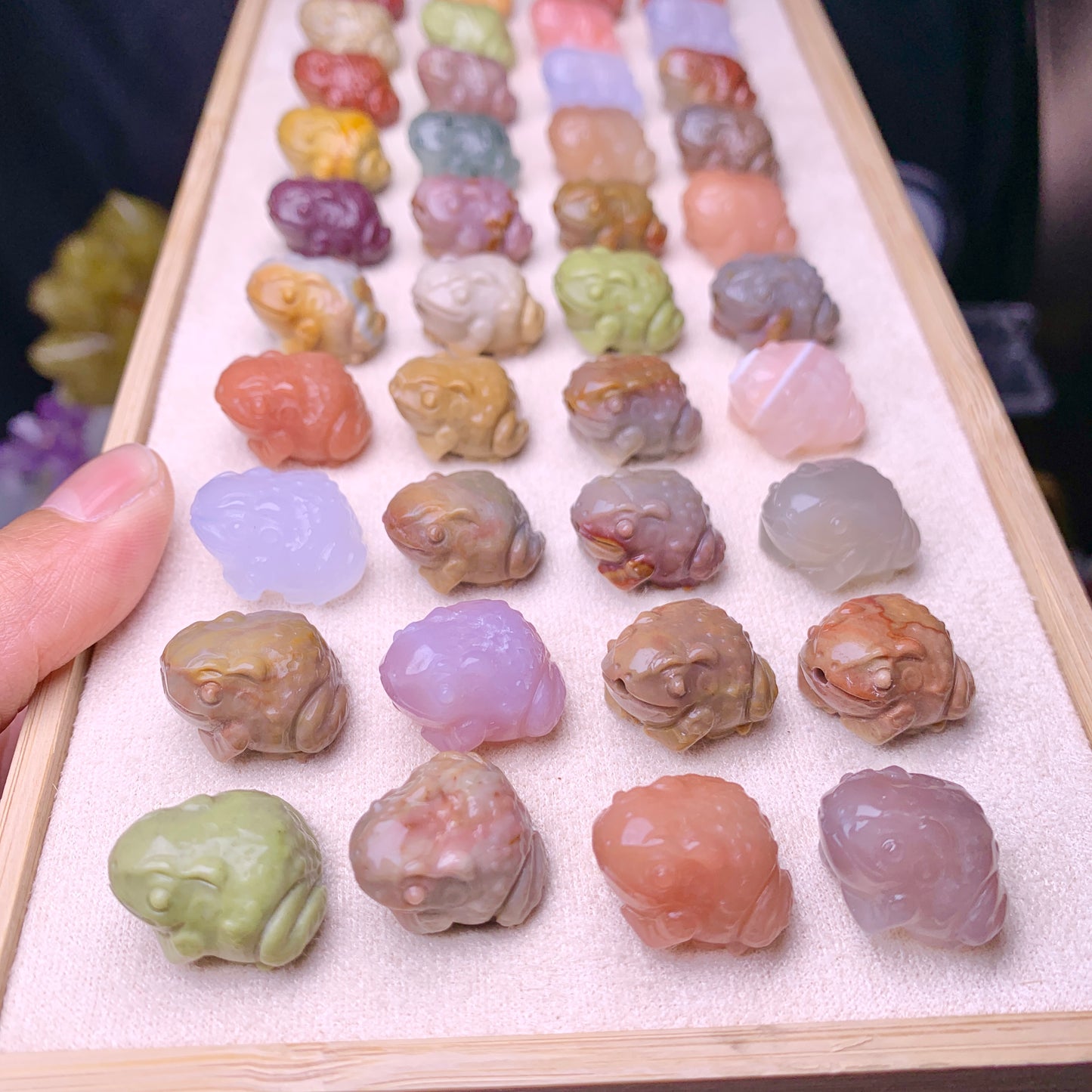 【Alashan Agate】     toad