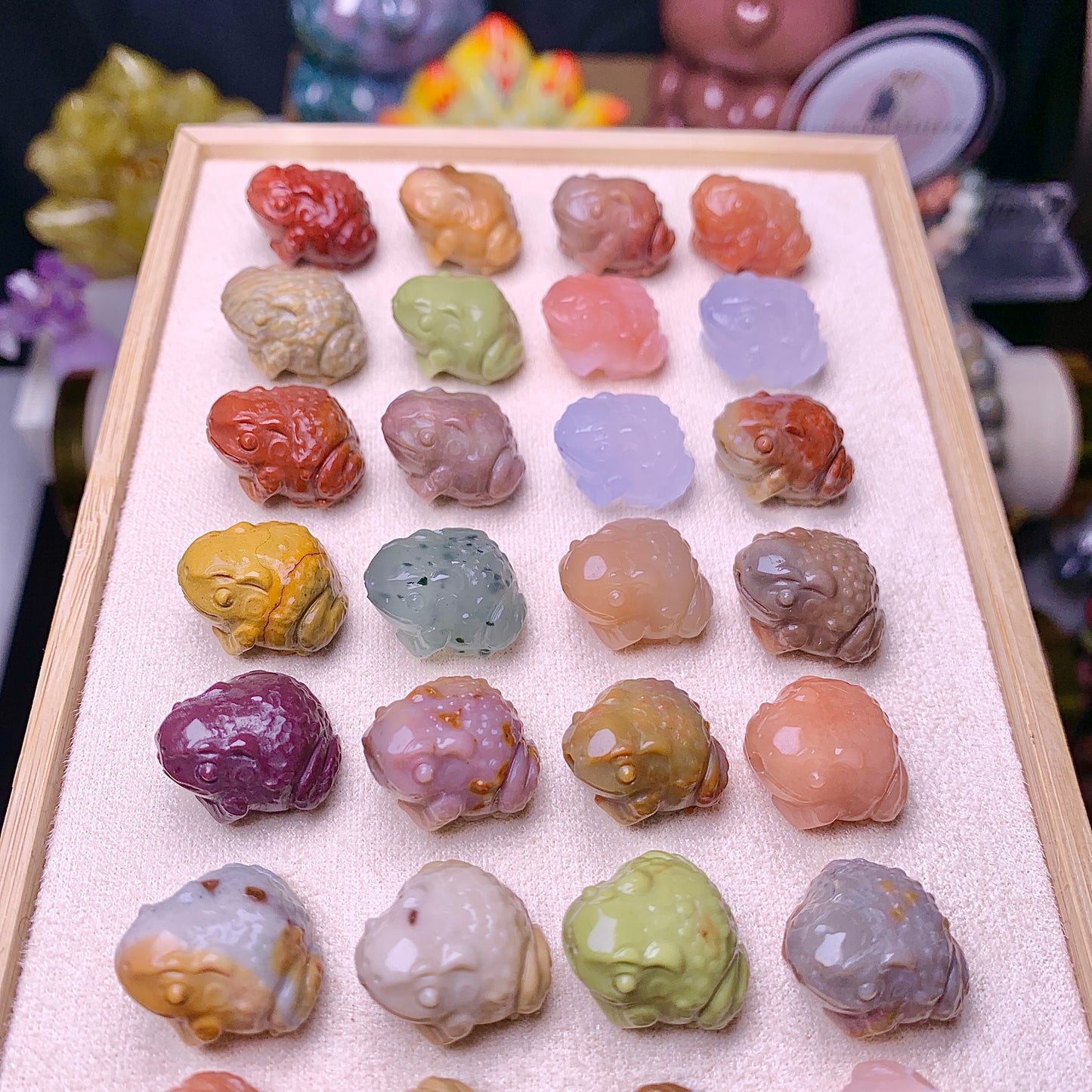 【Alashan Agate】     toad