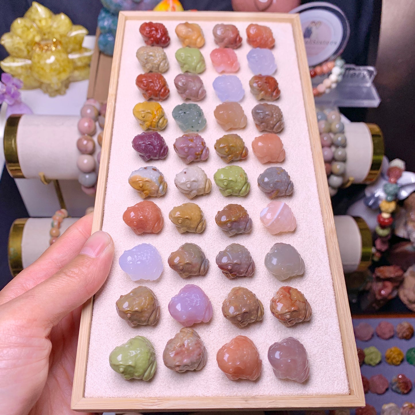 【Alashan Agate】     toad