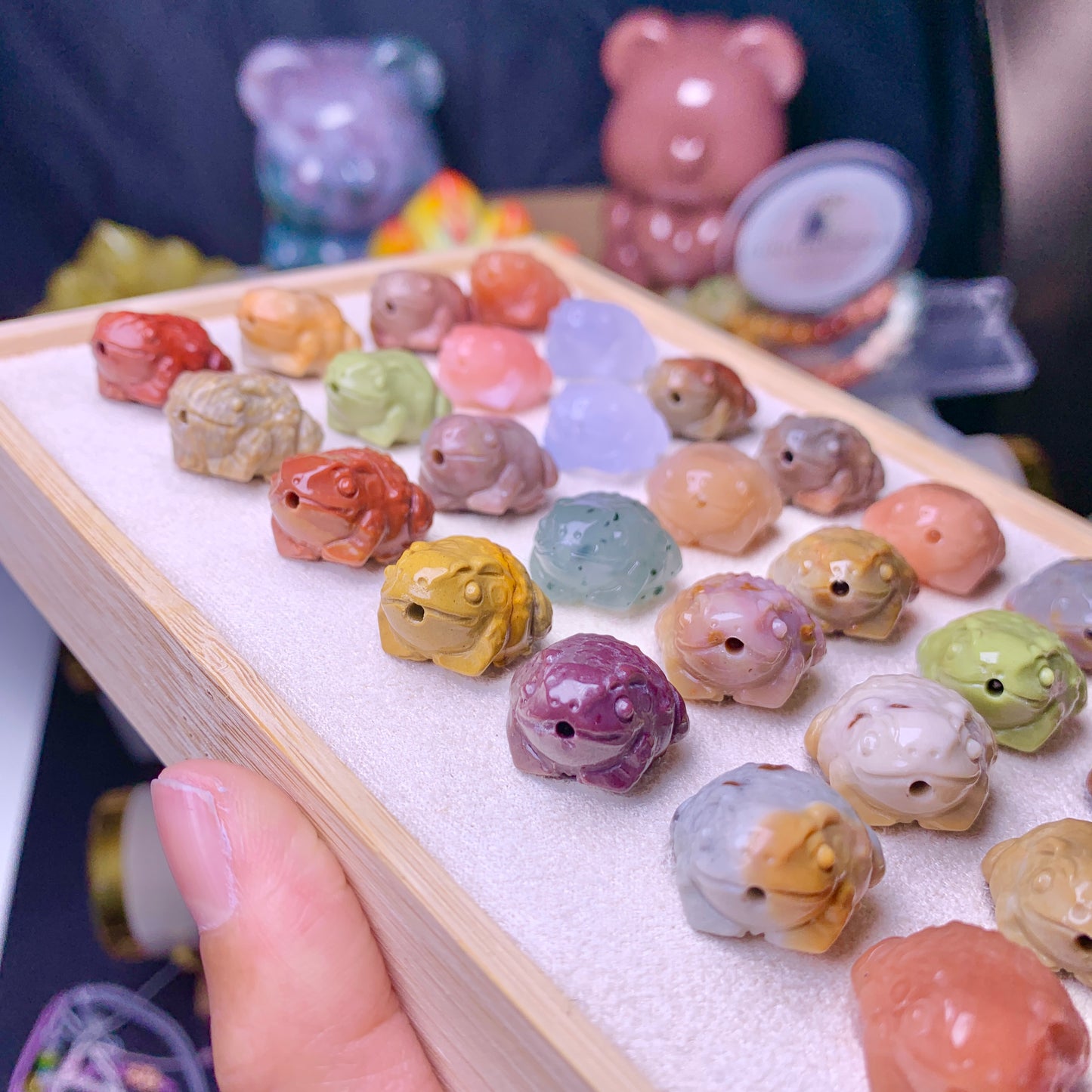 【Alashan Agate】     toad