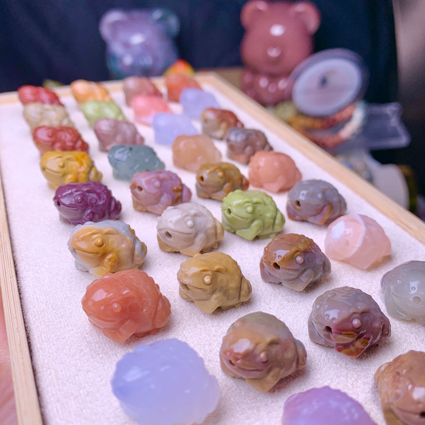 【Alashan Agate】     toad