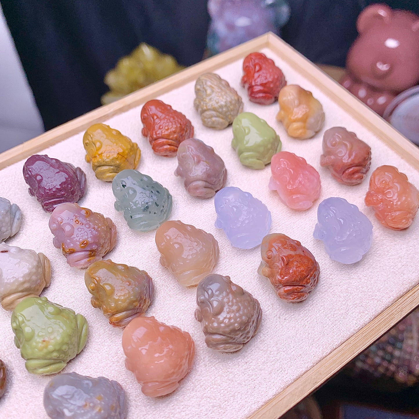 【Alashan Agate】     toad