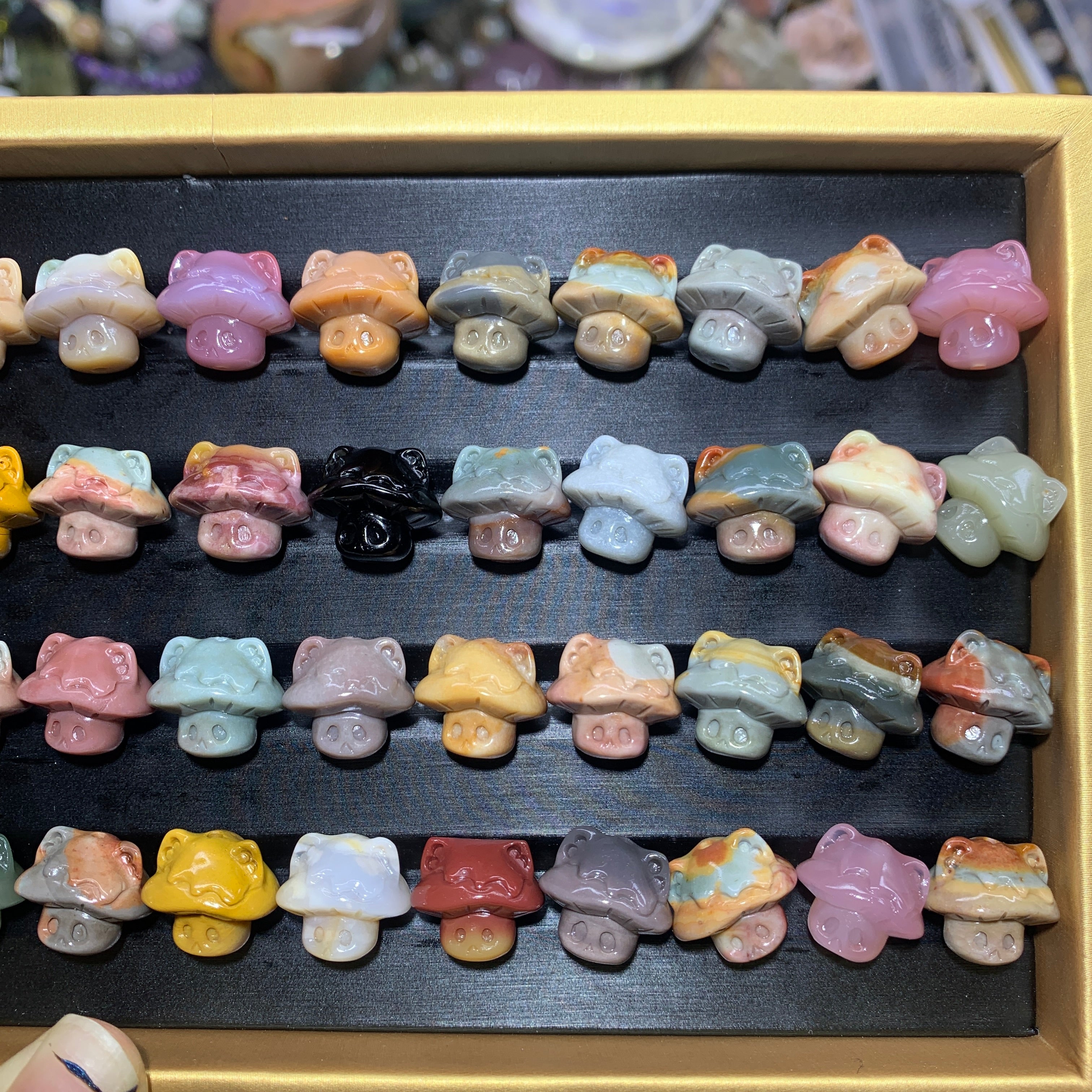 【5PCS】Alashan Agate Ghost Mushroom