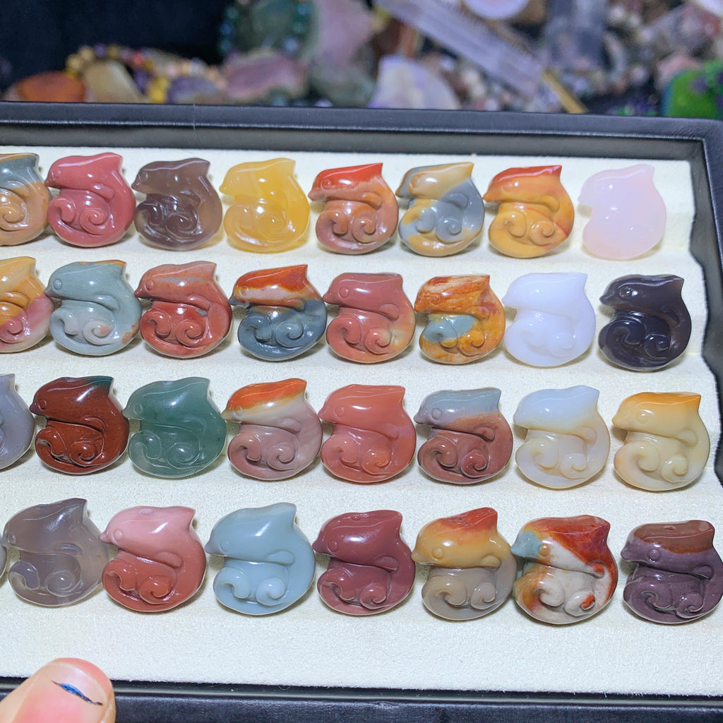 【5PCS】Alashan Agate dolphin