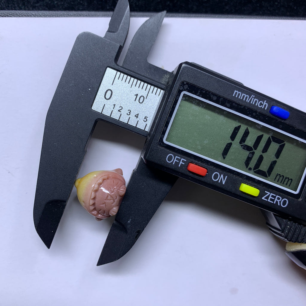 【5PCS】Alashan Agate Shark Kitty