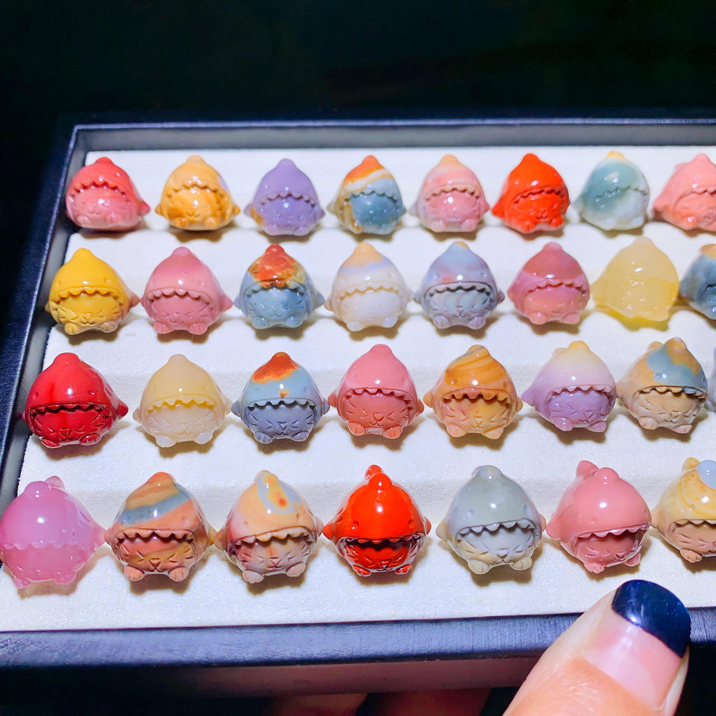 【5PCS】Alashan Agate Shark Kitty