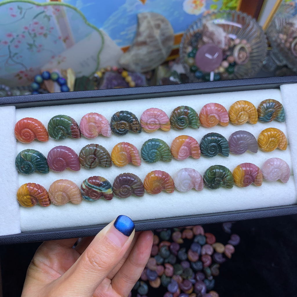 Alashan Agate Conch
