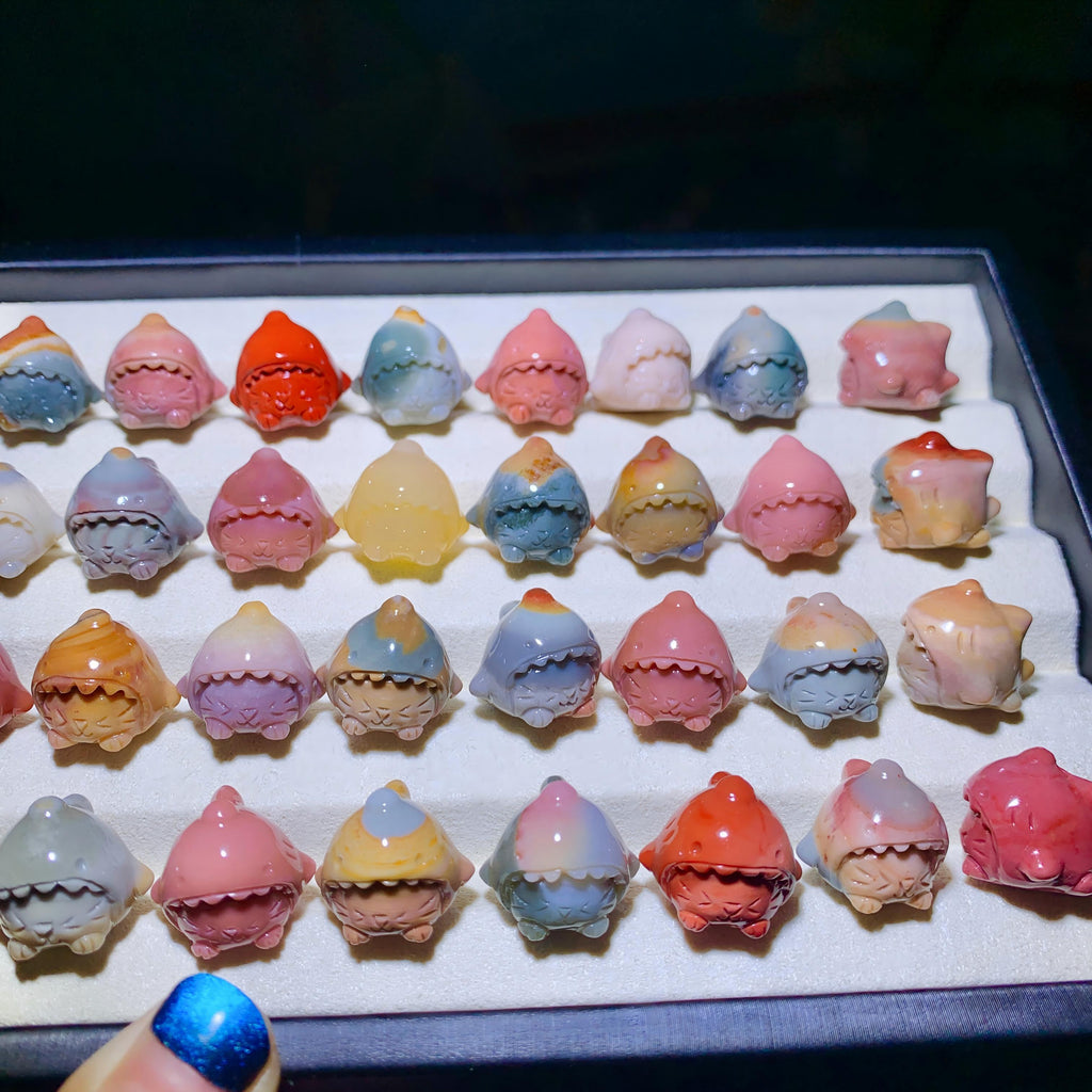 【5PCS】Alashan Agate Shark Kitty