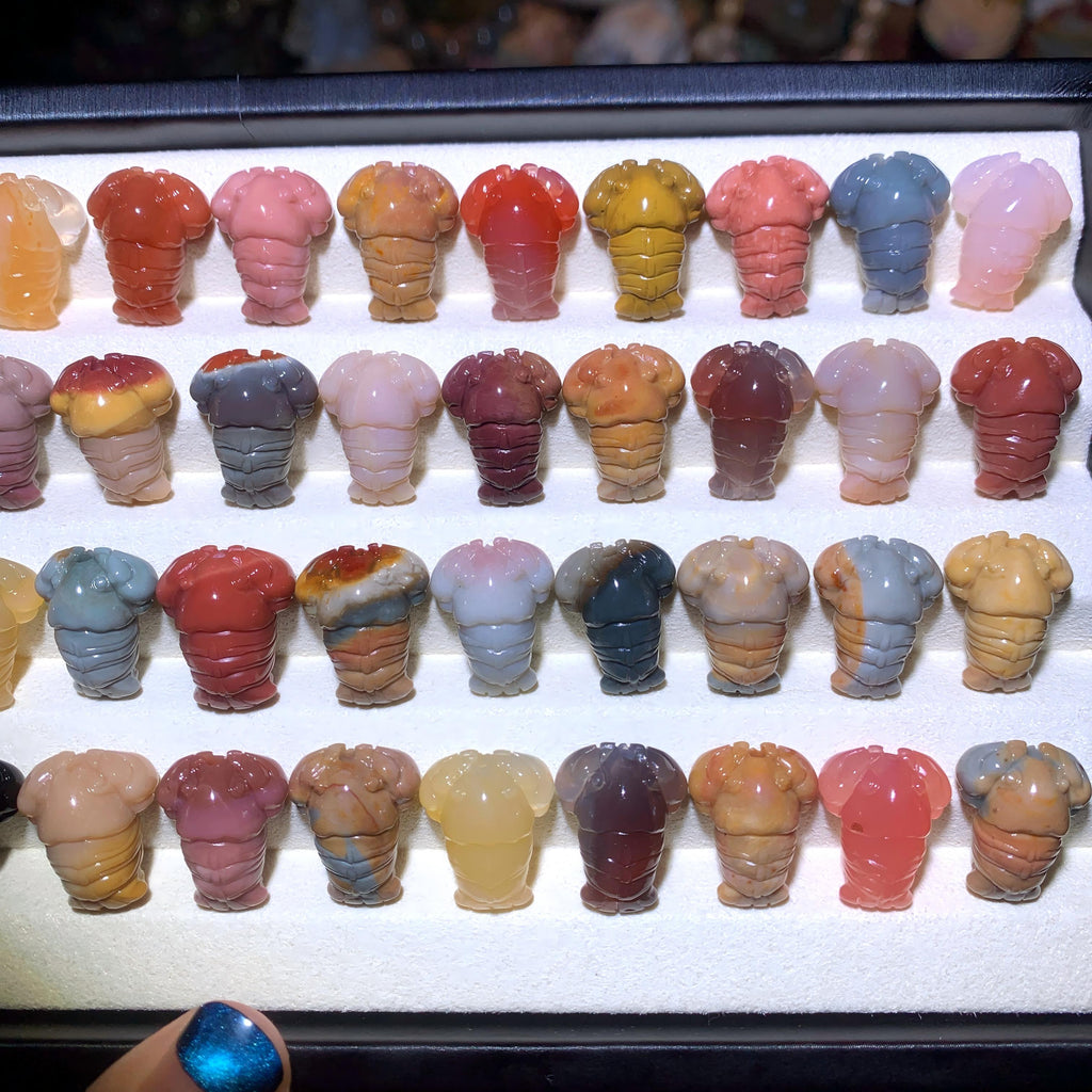 【5PCS】Alashan Agate Crawfish