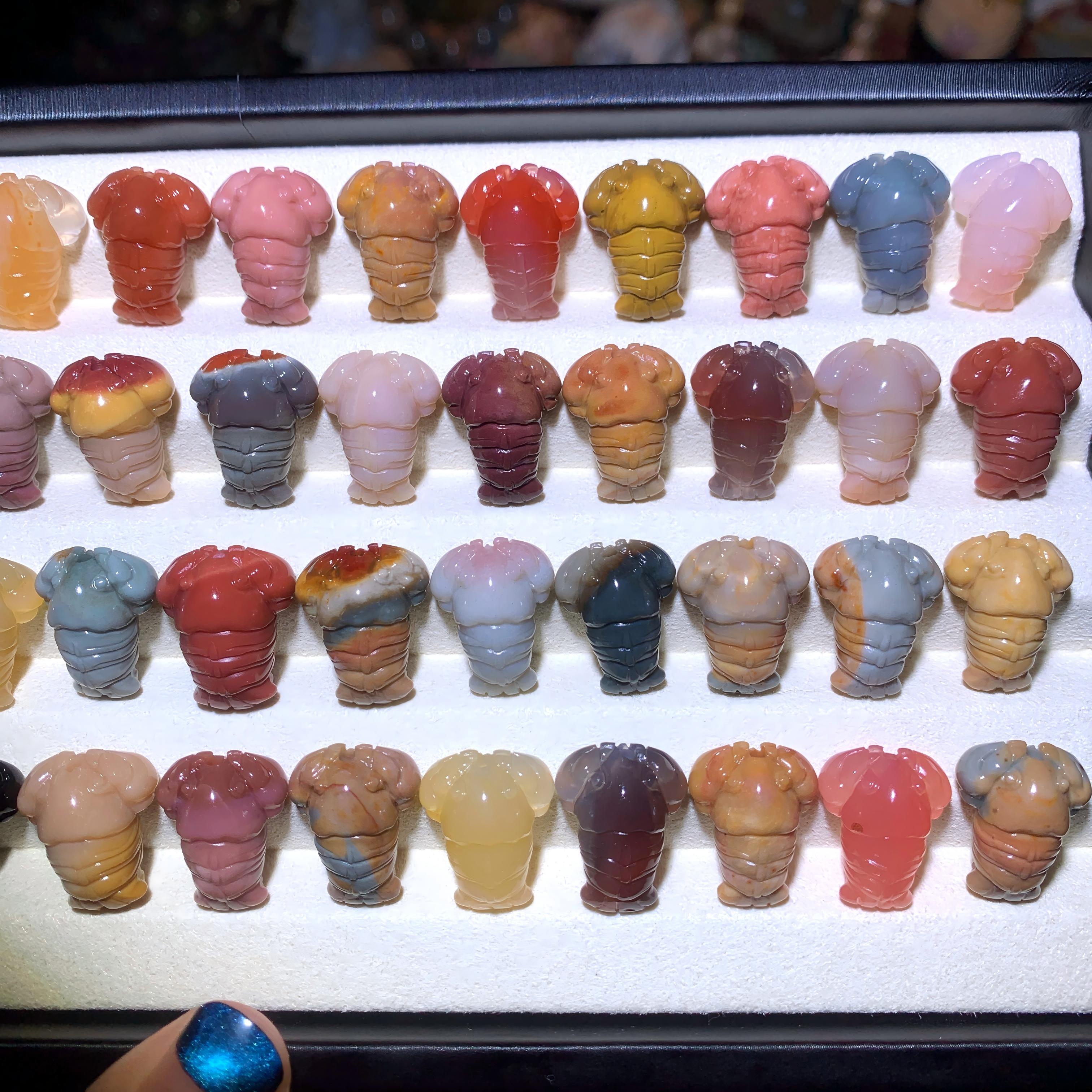 【5PCS】Alashan Agate Crawfish