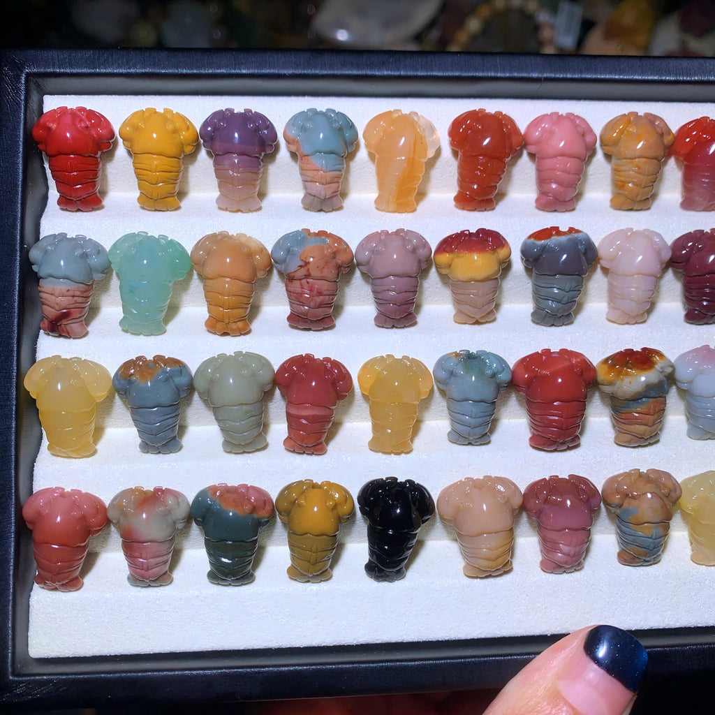 【5PCS】Alashan Agate Crawfish