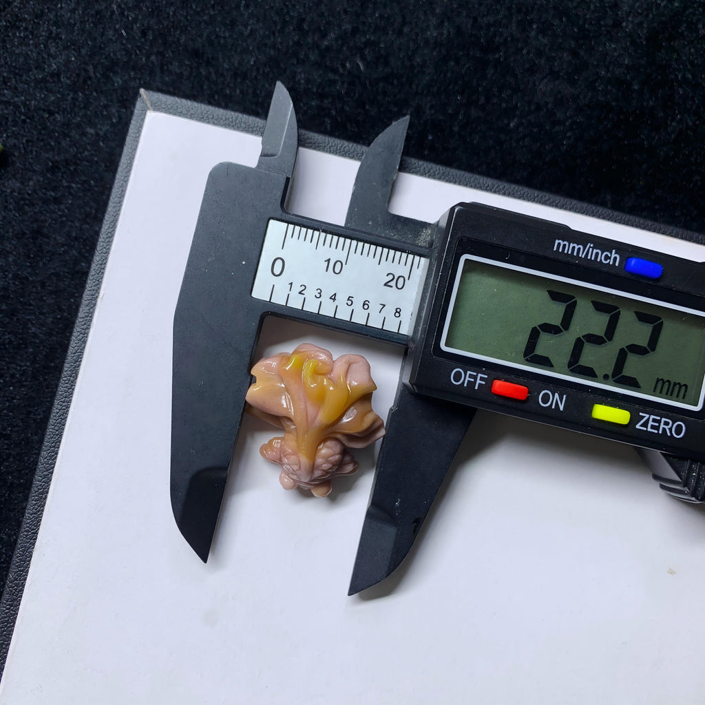 【5PCS】Alashan Agate Koi Fish