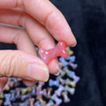 Natural Alashan Agate Carved charms Bones