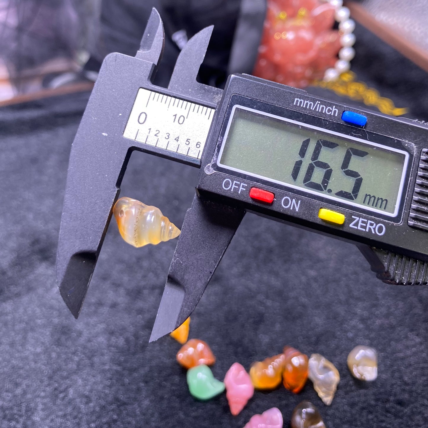 jelly agate conch charms